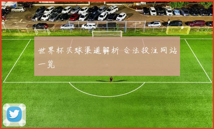 世界杯买球渠道解析 合法投注网站一览
