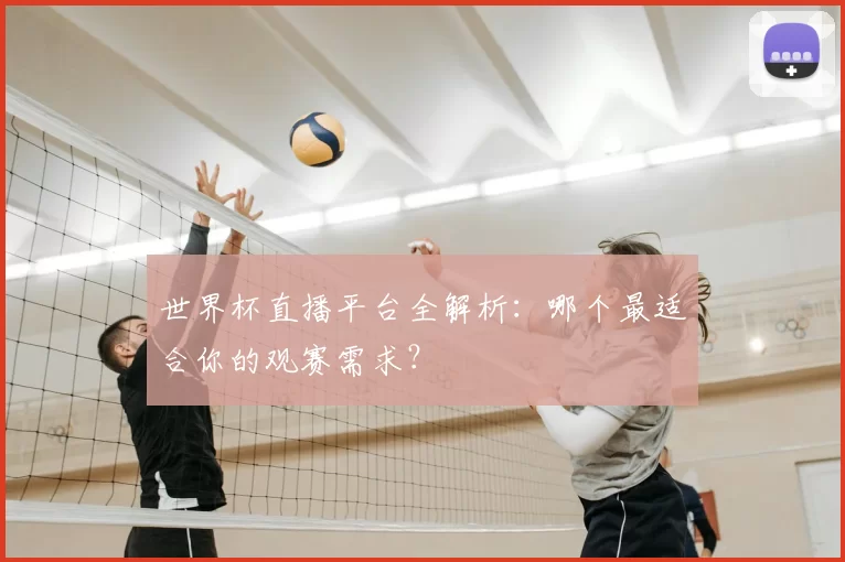 世界杯直播平台全解析:哪个最适合你的观赛需求?