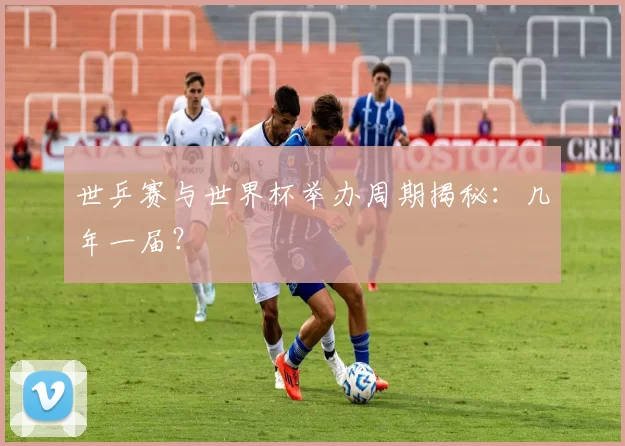 世乒赛与世界杯举办周期揭秘：几年一届？