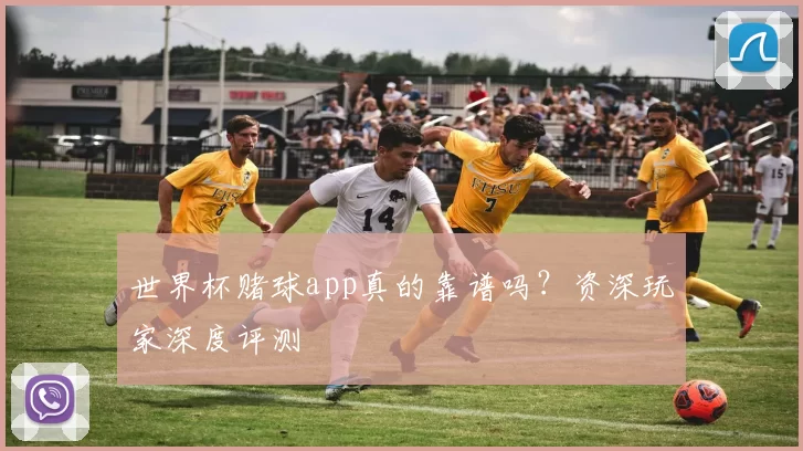 世界杯赌球app真的靠谱吗?资深玩家深度评测