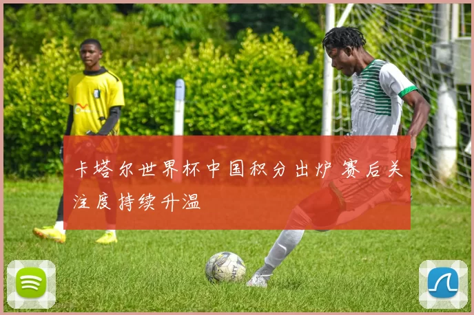 卡塔尔世界杯中国积分出炉 赛后关注度持续升温
