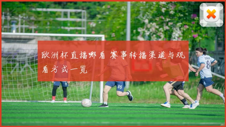 欧洲杯直播哪看 赛事转播渠道与观看方式一览