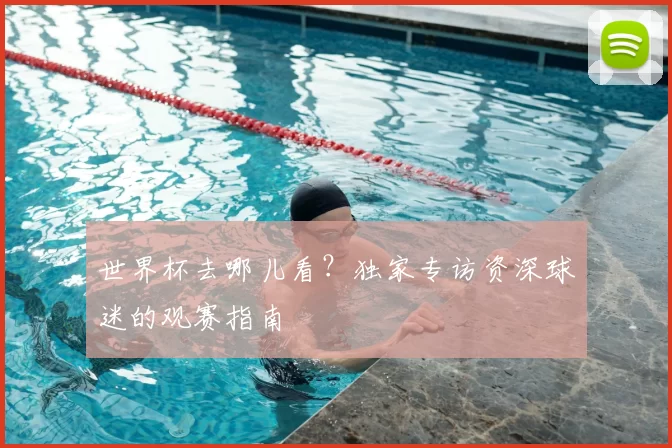 世界杯去哪儿看？独家专访资深球迷的观赛指南